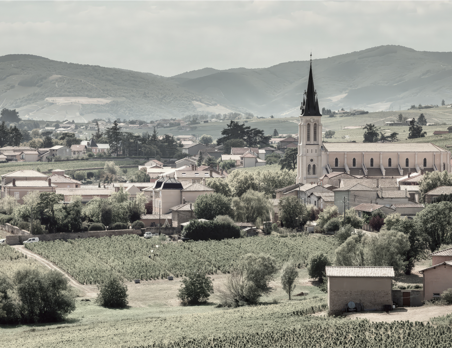 Винный клуб «Beaujolais» | 17.04.25 | Москва