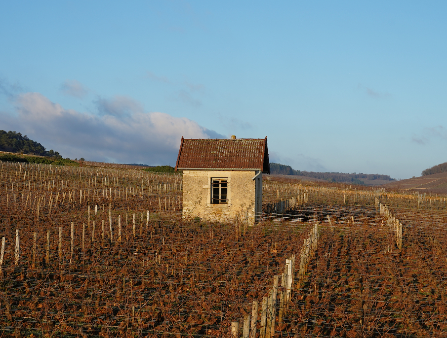 Винный клуб «Le Monopole»