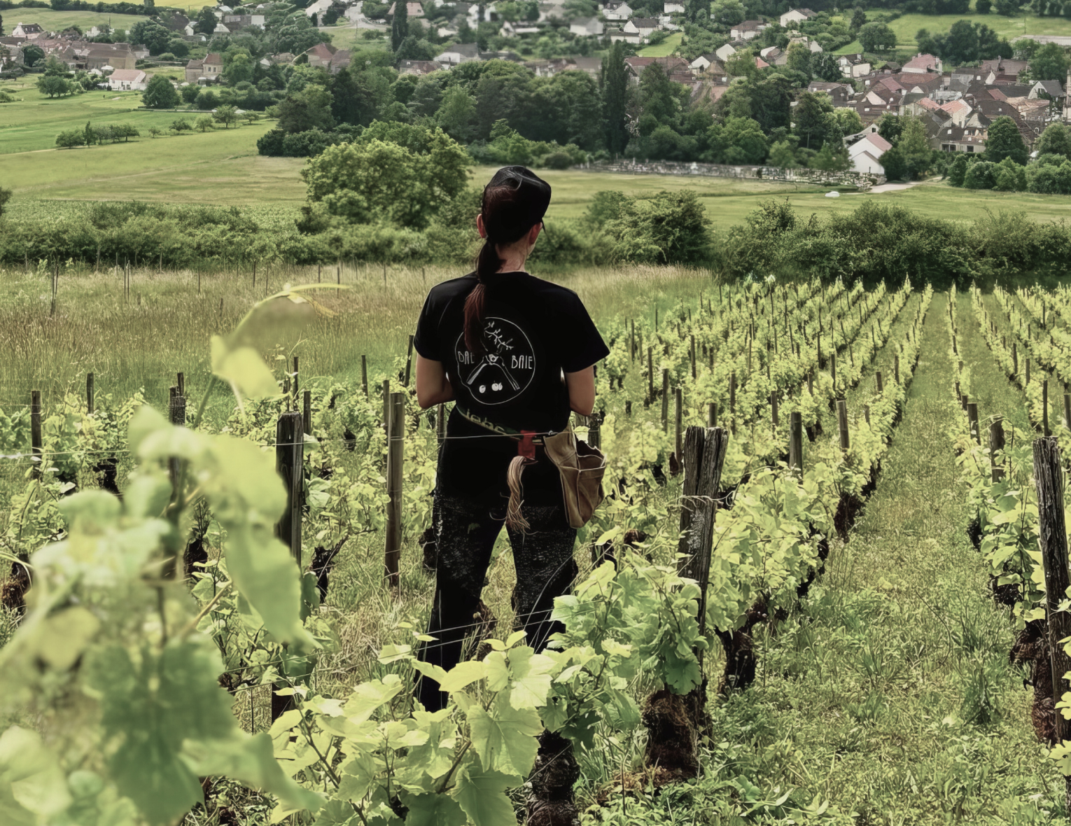 Винный клуб «Nuits-Saint-Georges: вечер в одной коммуне» | 10.07.25 | Москва