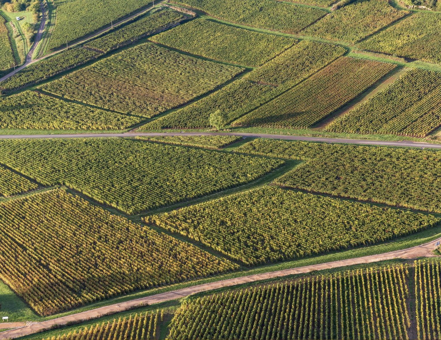 Винный ужин «Архетипы Бургундии: Шардоне и Пино Нуар» | 14.11.25 | Владикавказ