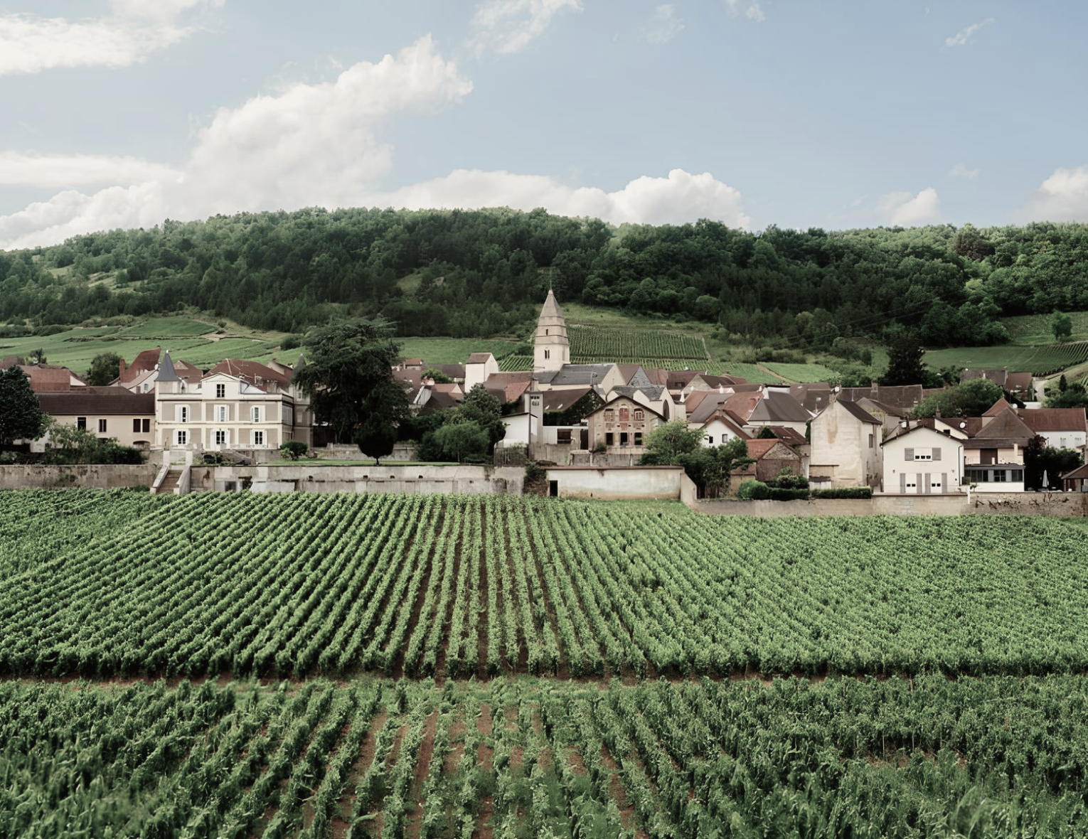 Винный ужин «Путешествие в Бургундию» | 24.04.25 | Москва