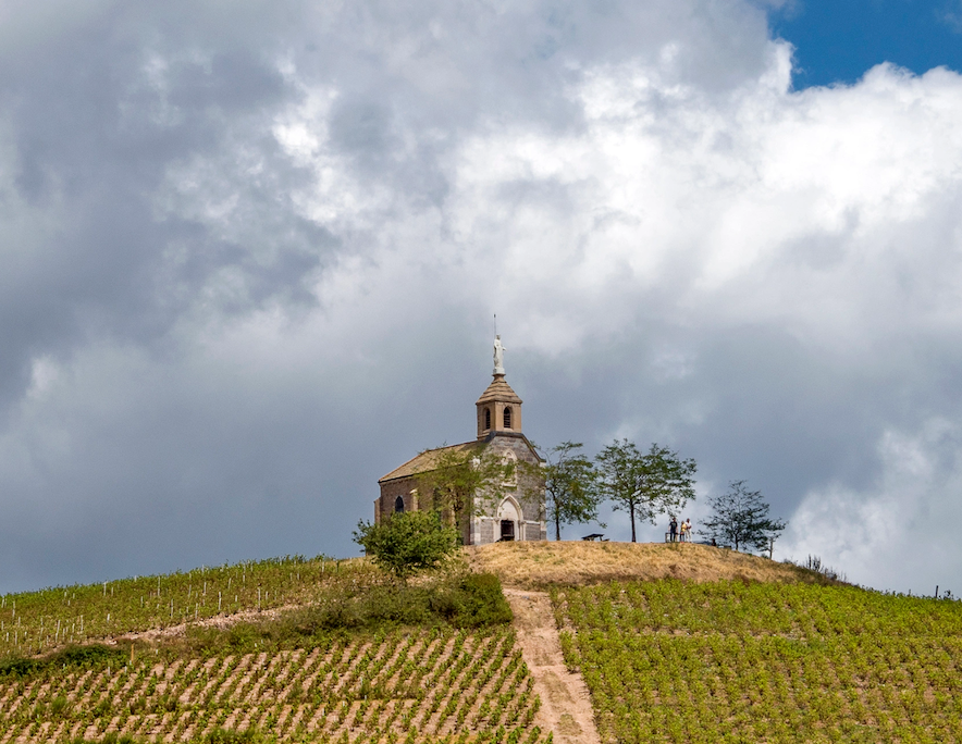 Винный клуб «Retour vers le futur»