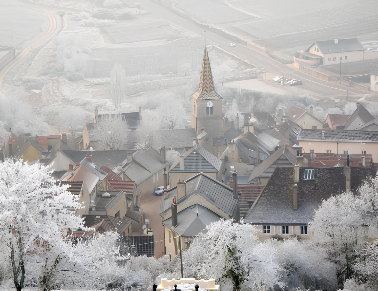 Винный ужин «Скрытые жемчужины Бургундии» | 04.12.24 | Санкт-Петербург