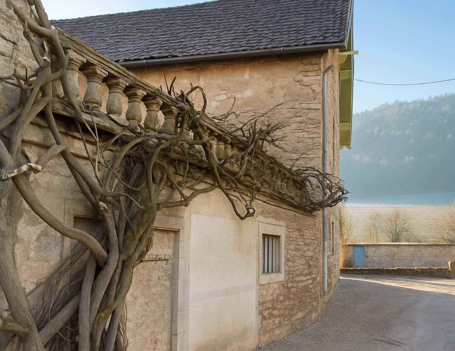 Винный клуб «Bourgogne *» | 26.06.25 | Москва