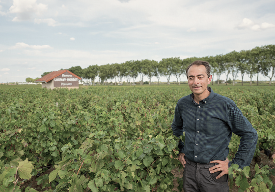 Domaine Launay Horiot: история возвращения и сила характера