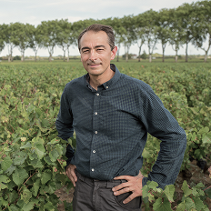 Domaine Launay Horiot: история возвращения и сила характера