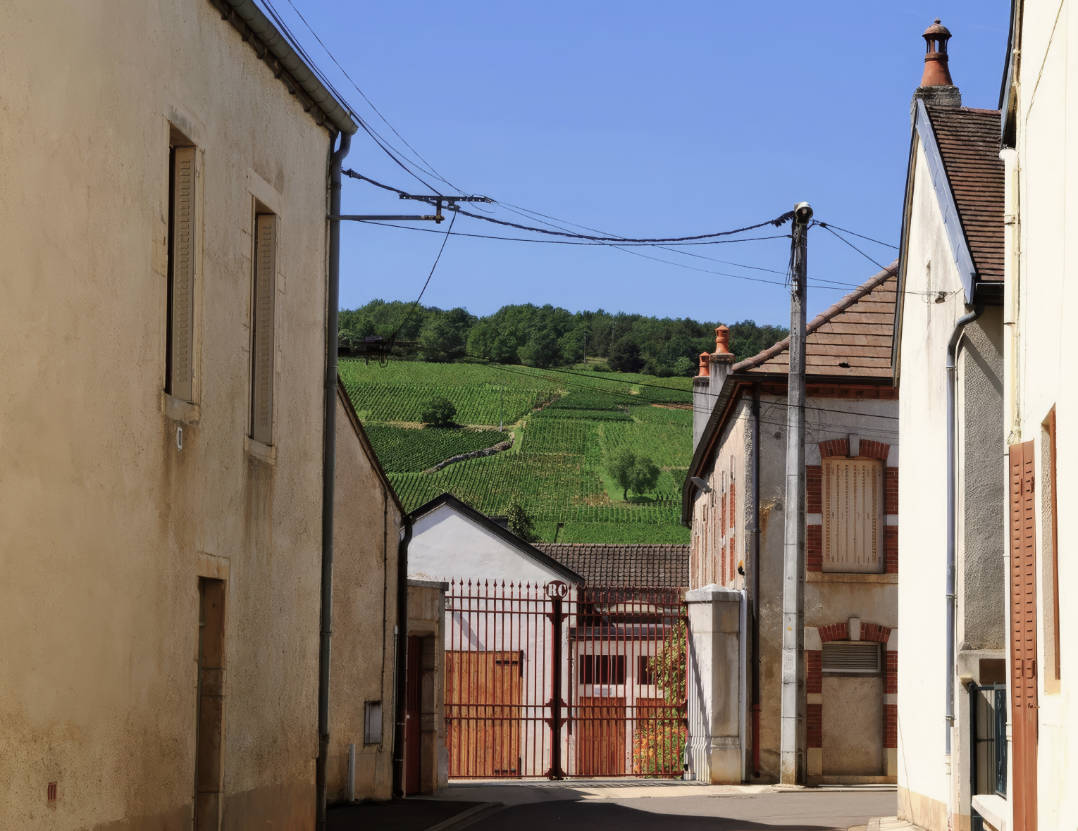 Винный клуб «Hautes-Côtes de Bourgogne» | 24.07.25 | Москва