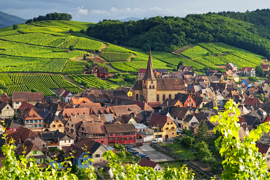 Вина Марсане