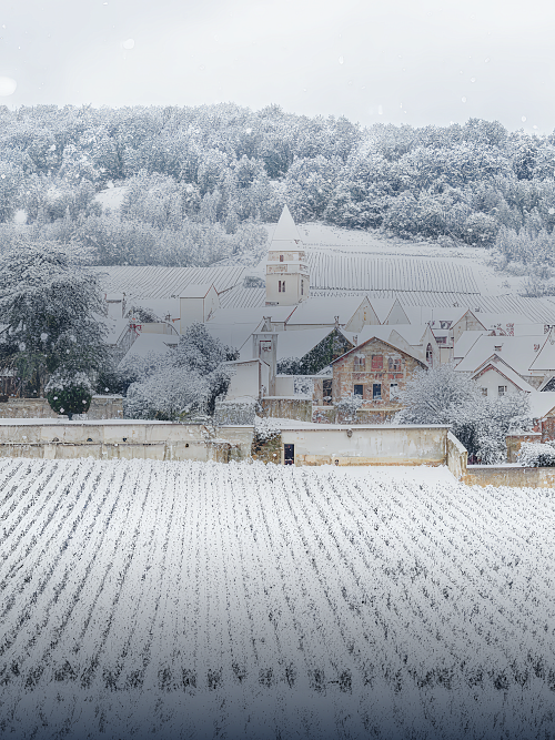 Безупречная коллекция вин от признанных виноделов