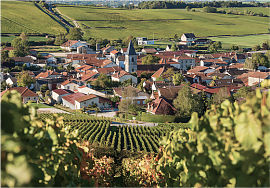 Можно ли декантировать шампанское? Иногда – нужно!