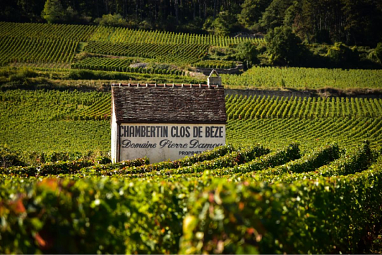 Вина Шамбертан Гран Крю