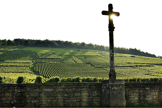 Вина Бургундии уровня Grand Cru