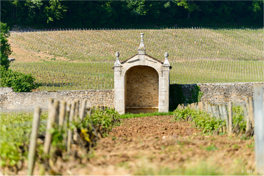 Вина Жевре-Шамбертан