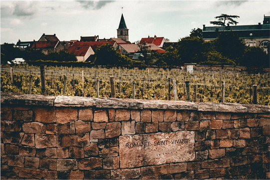 Вина Романе-Сен-Виван