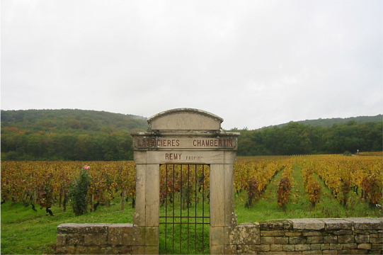 Вина Лятрисьер-Шамбертан