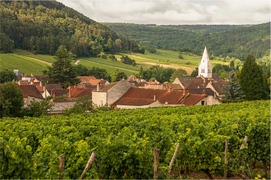 Вина От-Кот де Бон