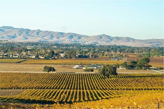 Вина Австралии