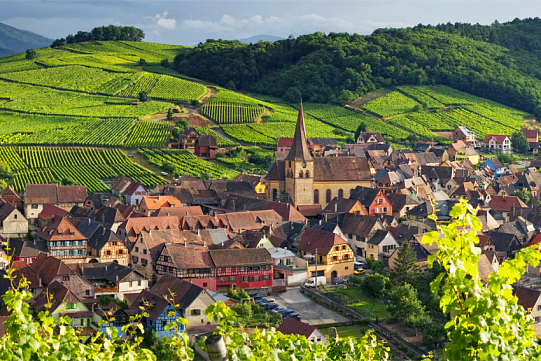 Вина Оcсе-Дюресс